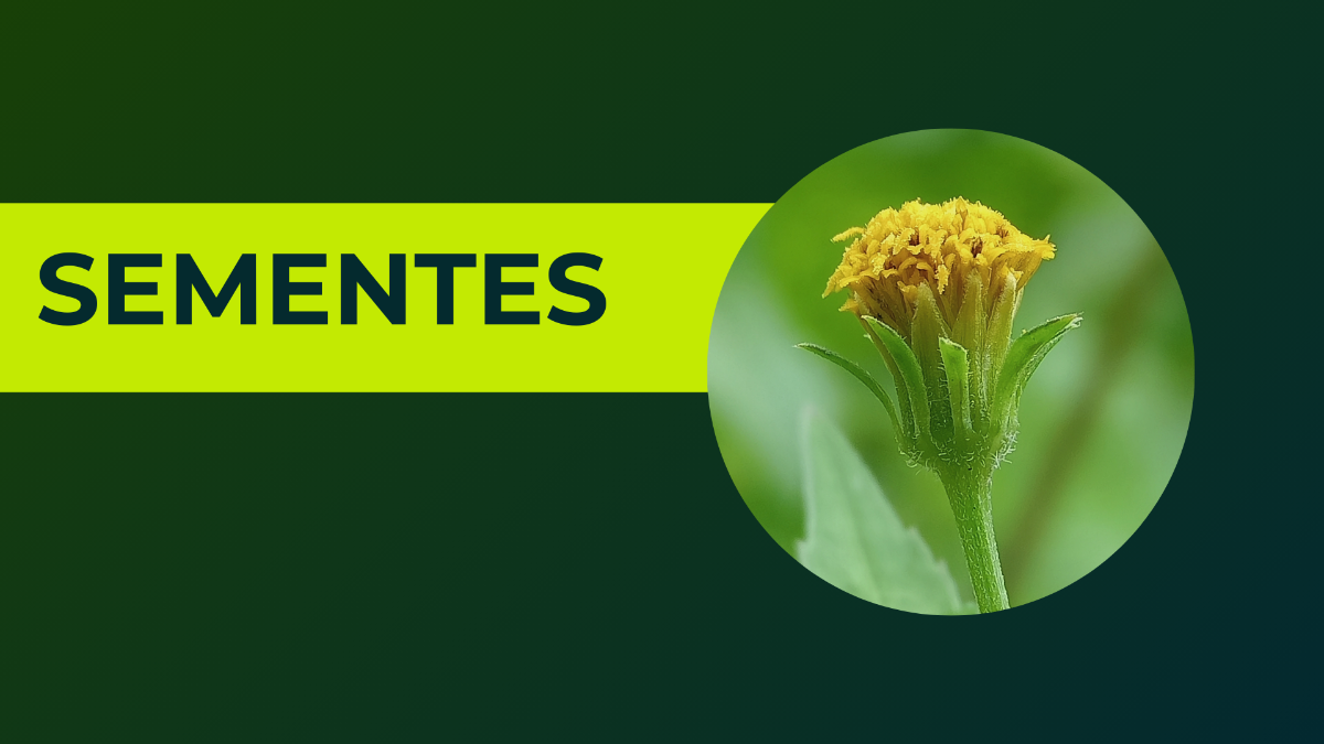 Compre agora